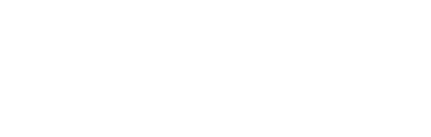 Veefly