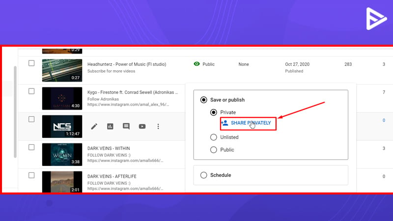 How To Share A Private YouTube Video? A Beginner's Guide