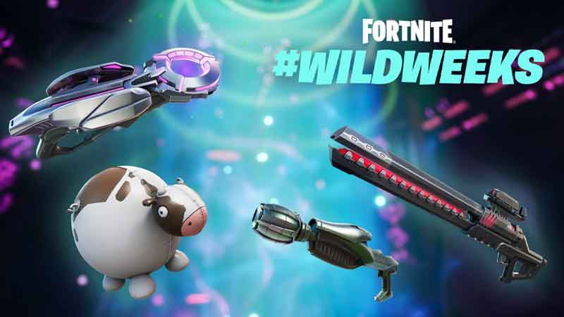 Fortnite video ideas