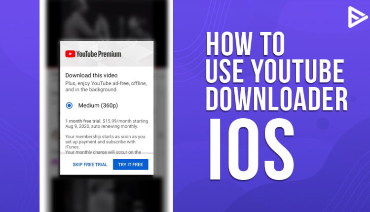 How To Use Youtube Downloader Veefly Resize Image 750x430 