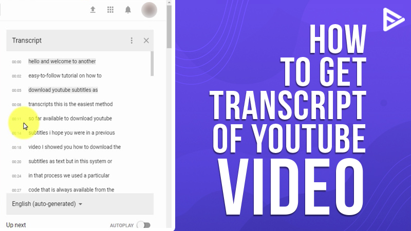 how-to-get-transcript-of-youtube-video-updated-blog