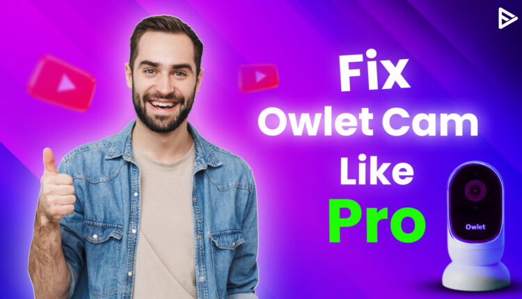 owlet camera not working