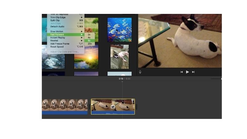 Speed Up A Video On iPhone