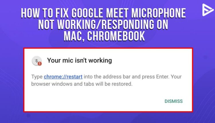 fix-google-meet-microphone-not-working-instantly