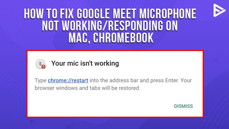 fix-google-meet-microphone-not-working-instantly