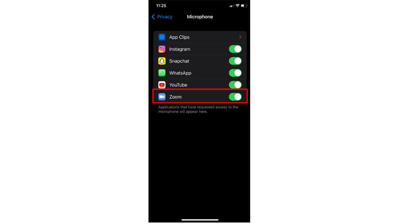 zoom sound not working