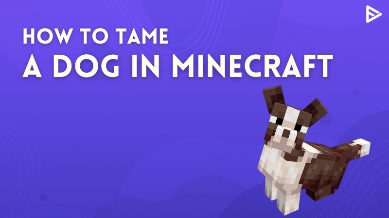 How To Tame A Dog In Minecraft And Feed Them Instantly Veefly Blog