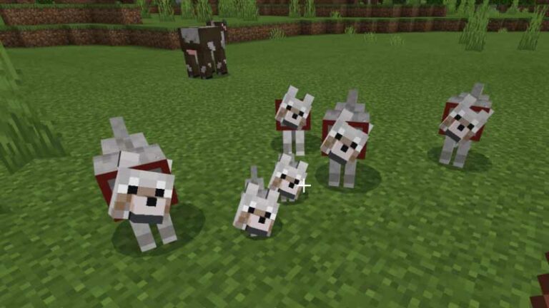 What Do You Need To Tame A Dog In Minecraft