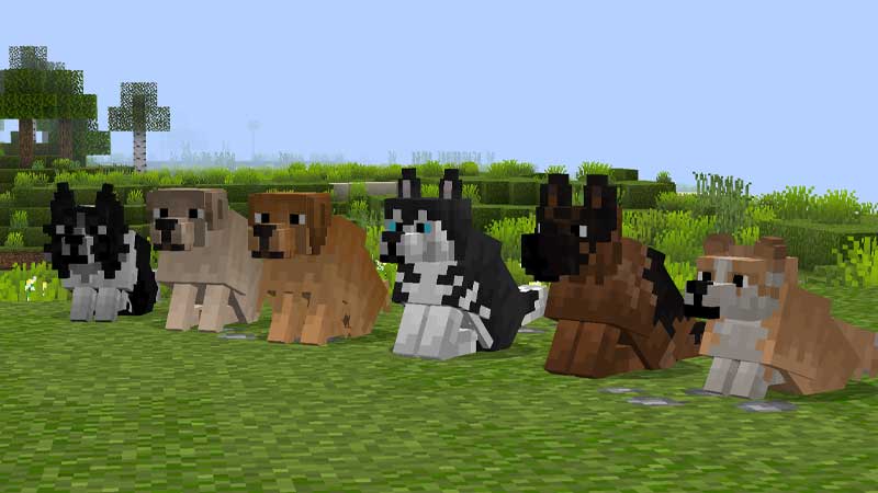 dog minecraft