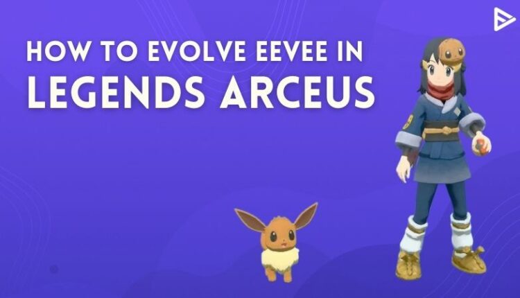 How To Evolve Eevee In legends Arceus In Just 2 Steps?