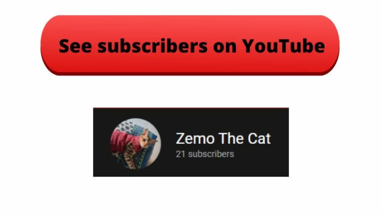 How Do You View Your Subscribers on YouTube - Complete Guide
