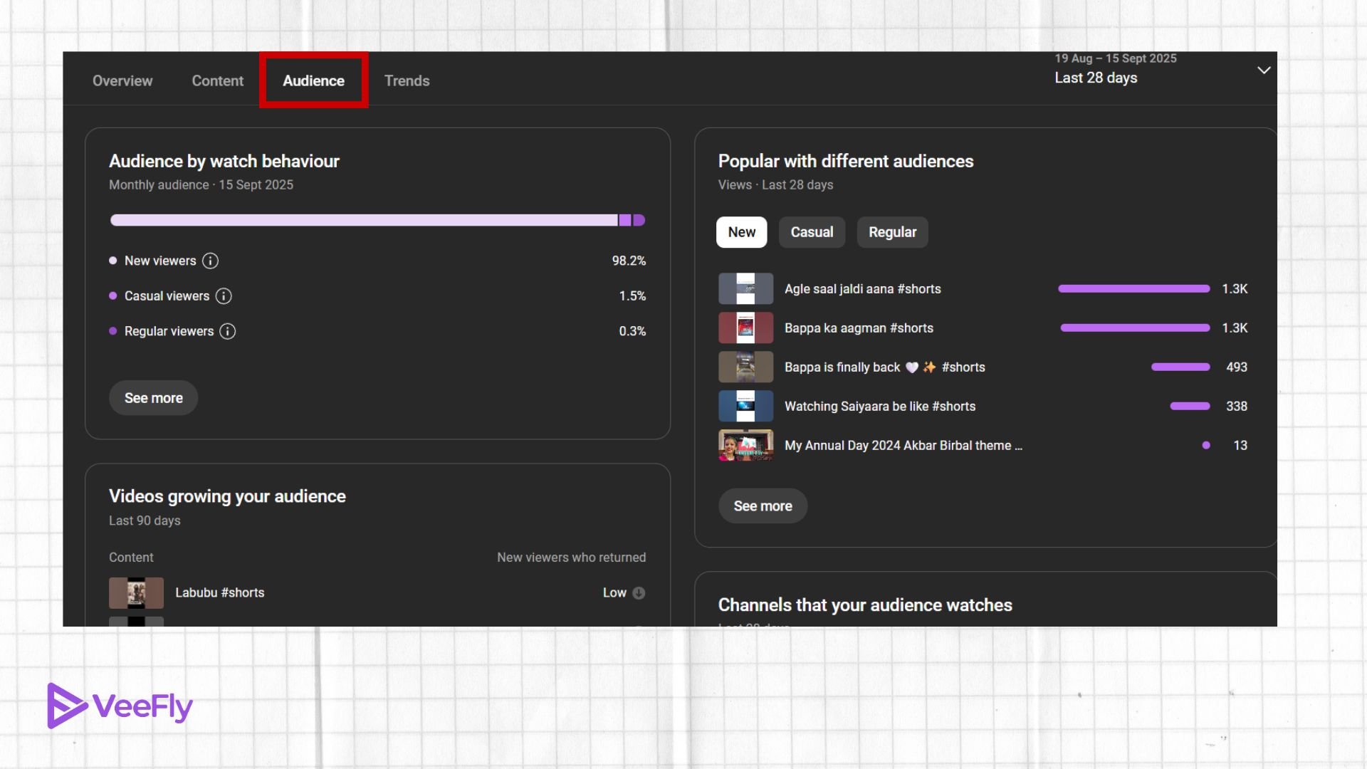youtube channel audit