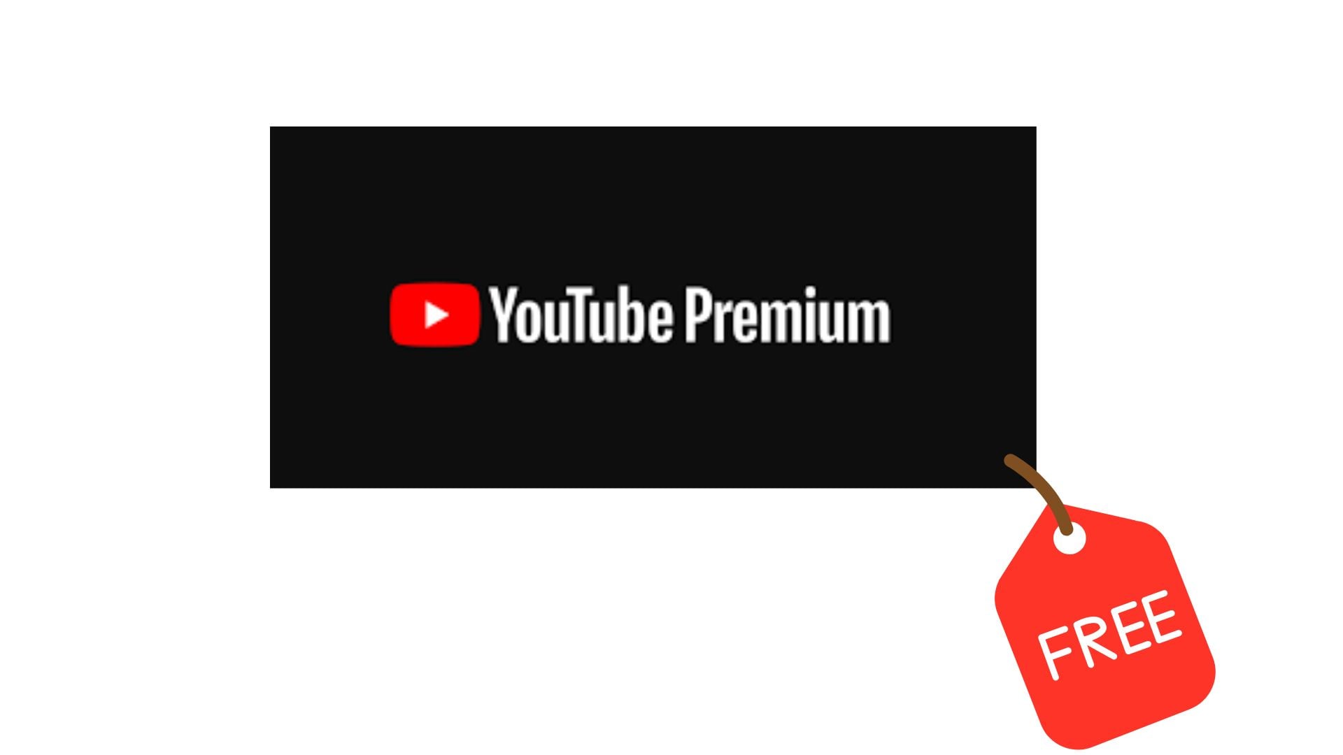 Free YouTube Subscriptions Is On Your Way Know How?