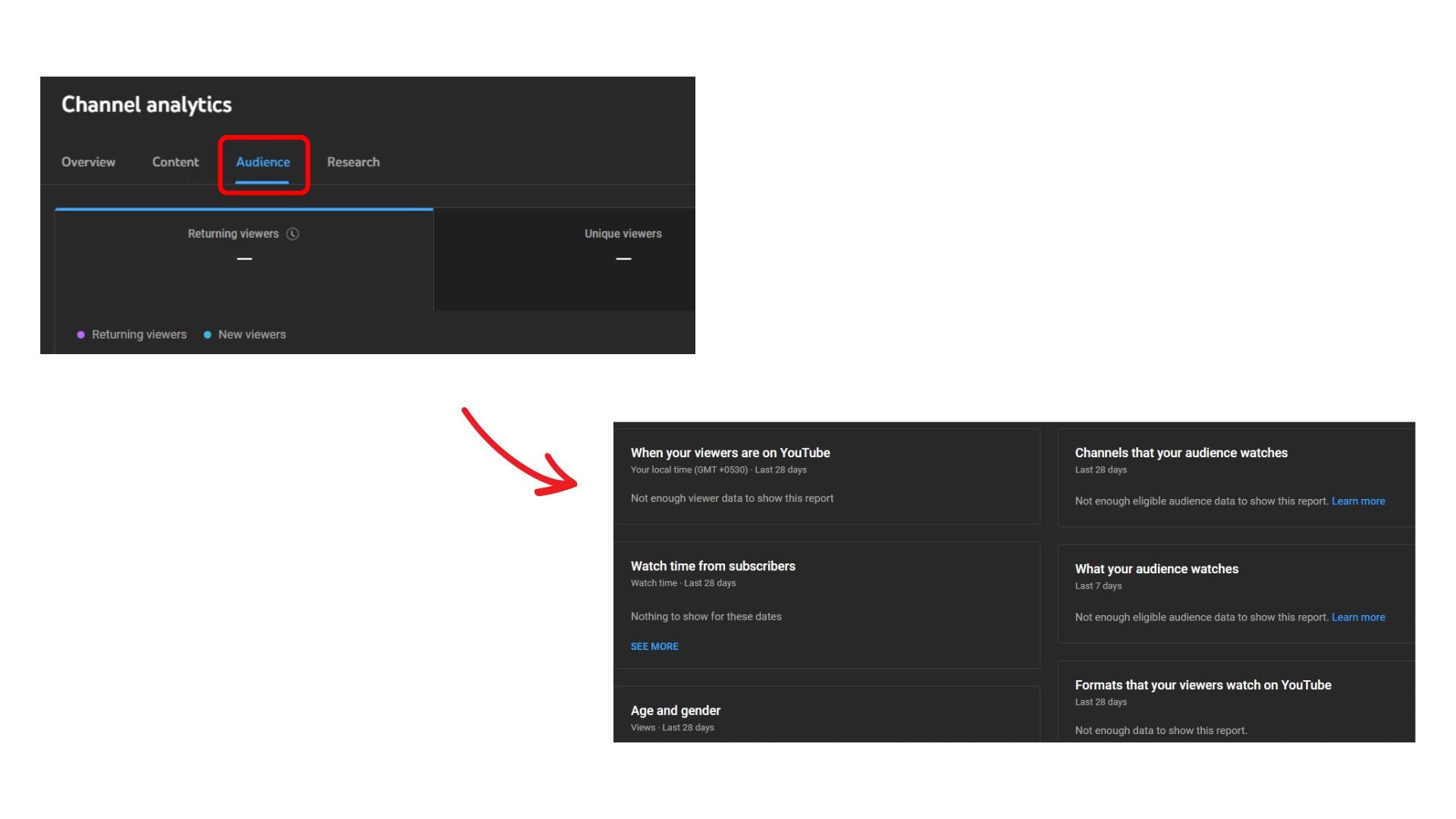 Click on Audience to see viewer Demographics