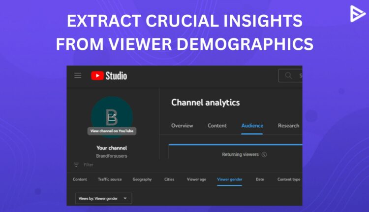 Use YouTube Channel Demographics to grow your channel