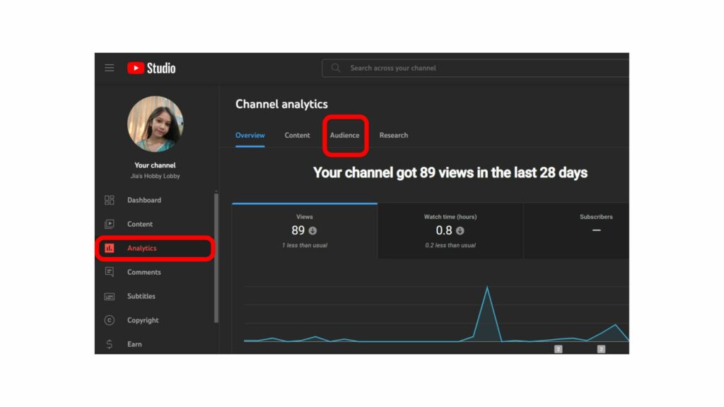 How To See YouTube Video Views By Country?