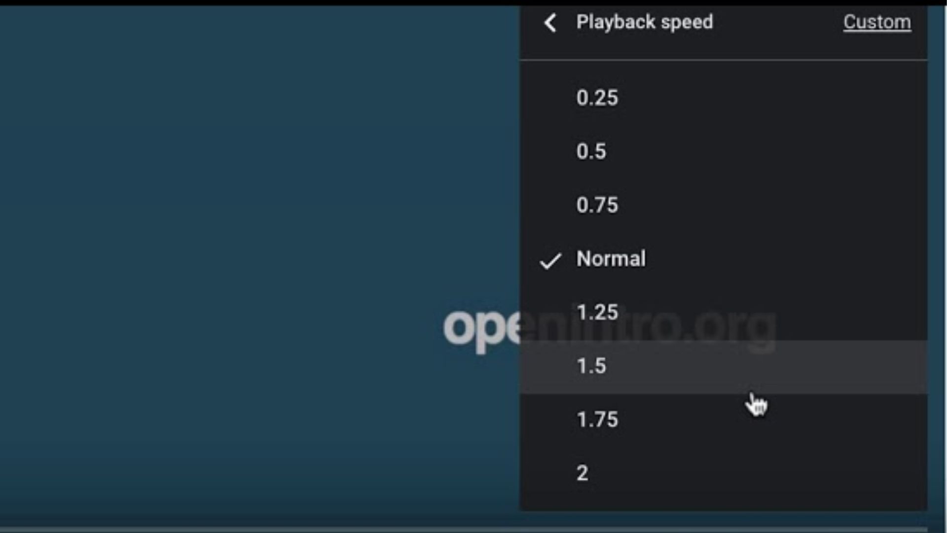 SLEEP TIMER-YOUTUBE-PLAYBACK SPEED