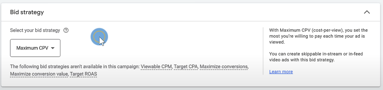 bid strategy interface in google ads