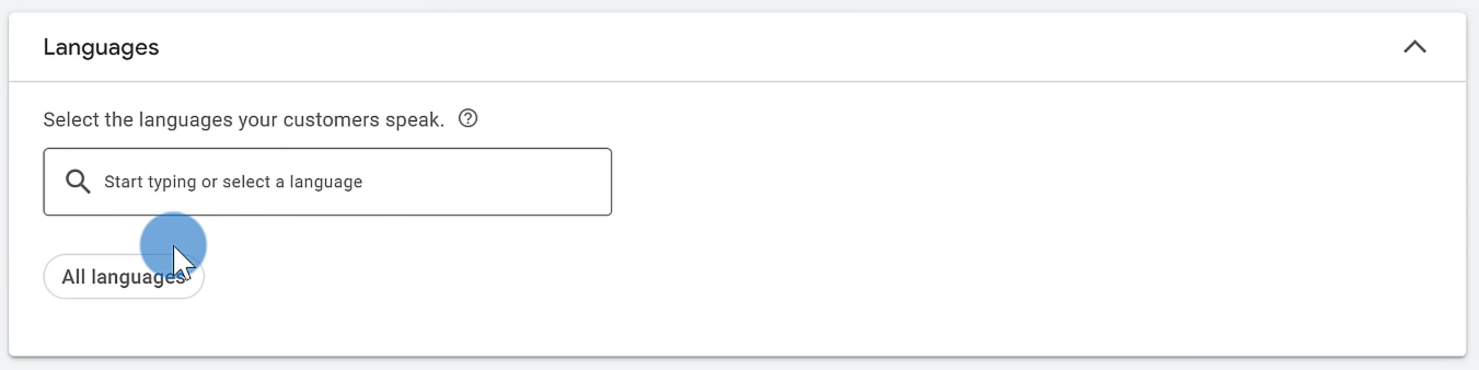 language interface in google ads