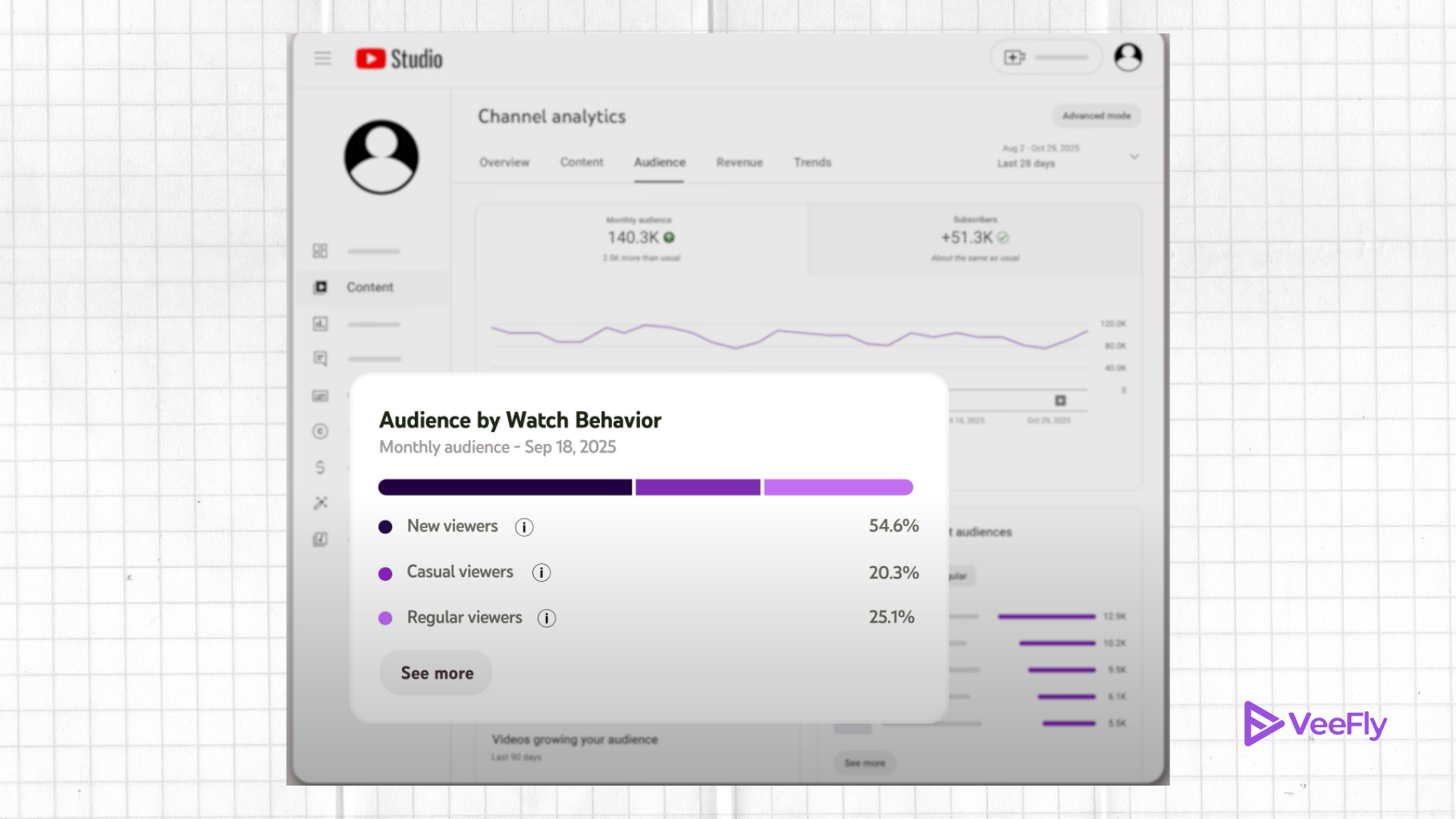 YouTube Latest Update Audience segment