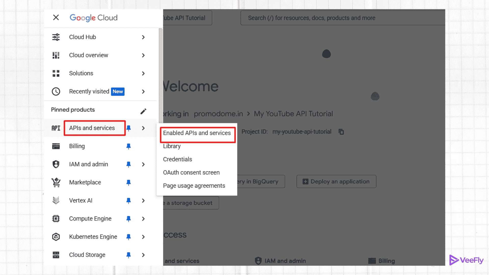YouTube live streaming API services