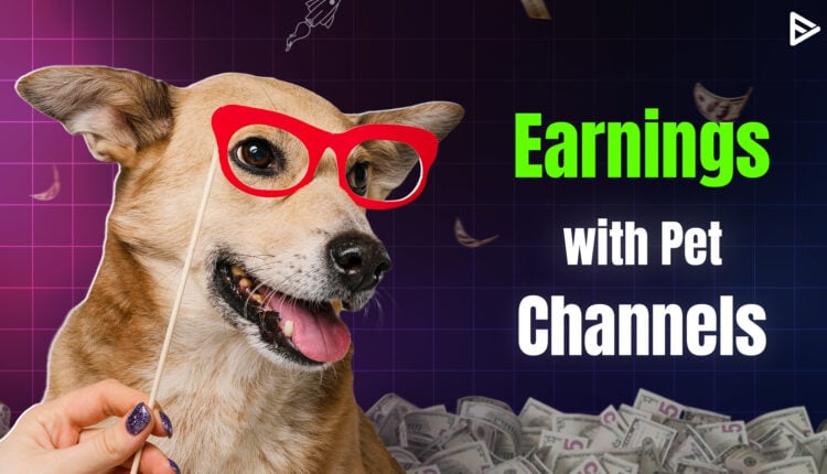 How to earn with pet YouTube channel